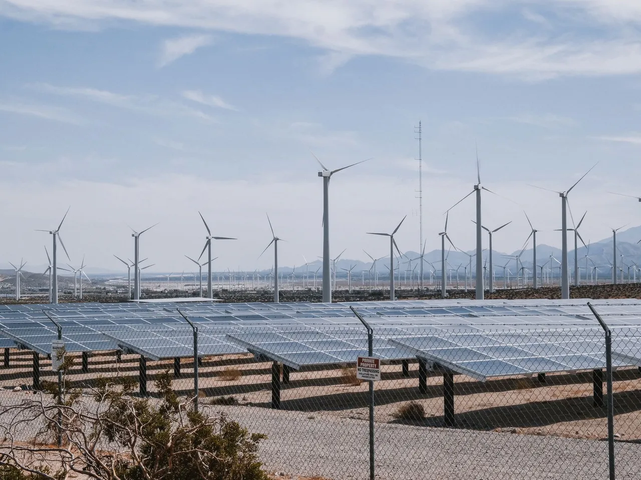 Rows of wind turbines across open ground